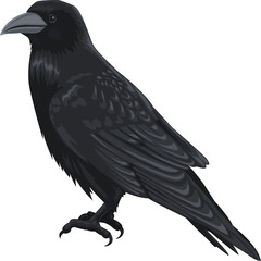 Detailed Pixel Art Illustration Of A Black Crow Bird Perched With A White Background And Visible Feet And Sharp Beak