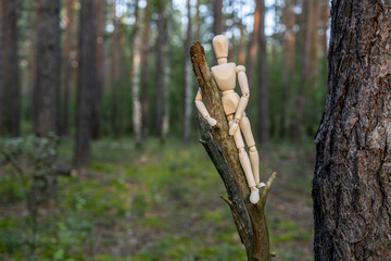 A wooden doll is hanging on a tree branch, the background is a blurred forest