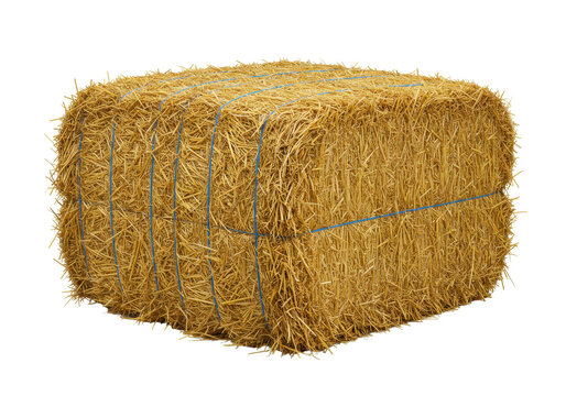 Isolated haystack of dry straw tied with blue baling twine, square bale for farm animals