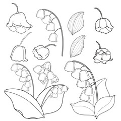 Lily of the Valley Line Art Set. Botanical Outlines of Spring Flowers and Leaves. Floral Graphic Elements for Coloring and Design.