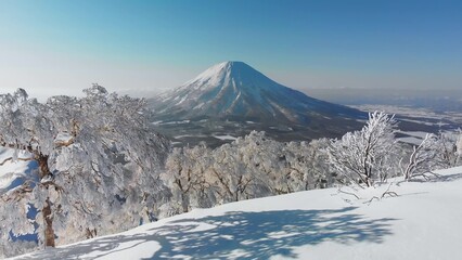 Majestic snow-covered mountain under clear blue sky surrounded by frosted trees in serene winter landscape