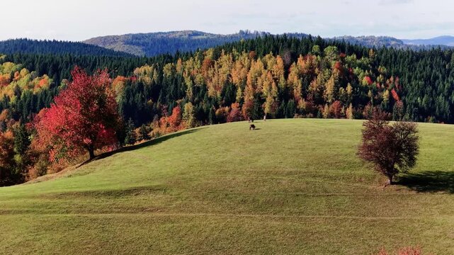 Camera moves left across mountain meadow with autumn colors and peaceful rural scenery