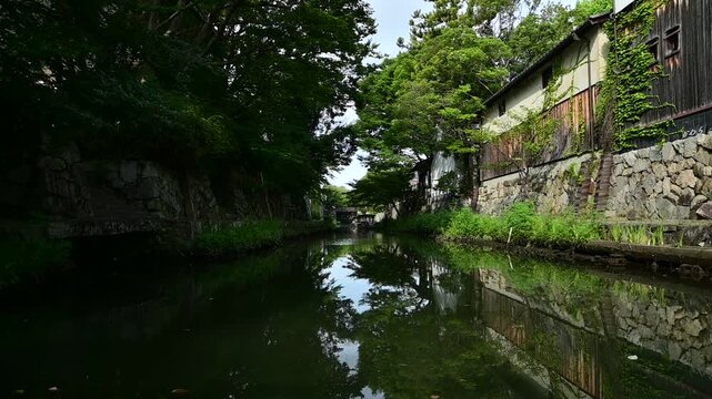 夏の朝の八幡堀（2023年6月, 滋賀県近江八幡市）