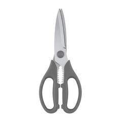 Modern kitchen shears tool isolated