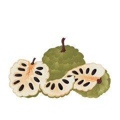 ДлCherimoya (Custard Apple) fruit