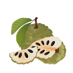 Cherimoya (Custard Apple) fruit with leaves.