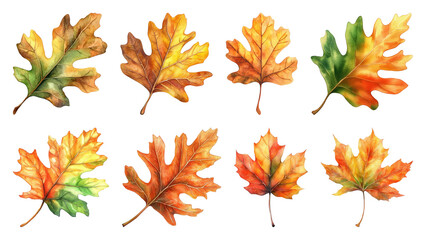 Fototapeta premium PNG Colorful autumn leaves illustration, element set on transparent background