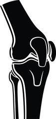 Vector icon of the human knee joint anatomy in black silhouette