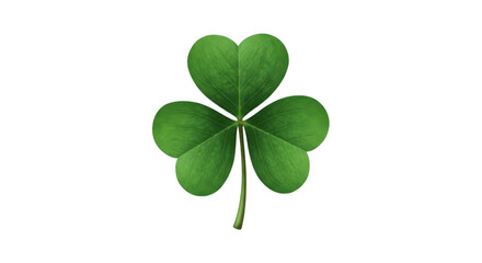 Single realistic three-leaf clover shamrock isolated for St. Patrick's Day design and luck concepts isolated PNG with Transparent Background