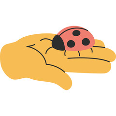 Hand Holding Ladybug Insect Simple Doodle Illustration With Transparent Background