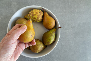 Hand holding a mottled green and brown pear above white bowl with pears on gray kitchen countertop