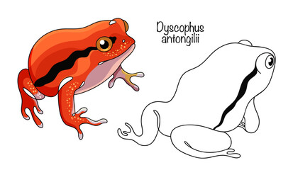 Dyscophus antongilii