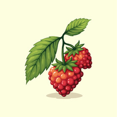 Vibrant Red Raspberries on a Branch with Green Leaves