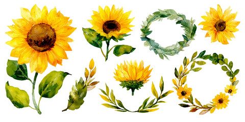 Watercolor illustration of cheerful sunflowers and leafy green wreaths for summer and autumn designs