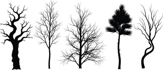 Five leafless tree silhouettes, black vector illustration, twisted trunks and bare branches, isolated nature design, artistic tree shape collection