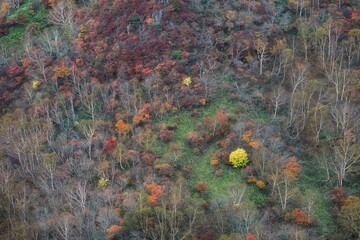 栃木県　紅葉真っ盛りの那須岳
