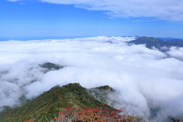 石鎚山　弥山から雲海を眺める　（愛媛県　日本百名山）