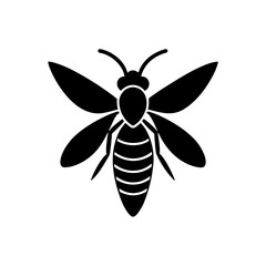 Silhouette of a wasp with wings spread on transparent background