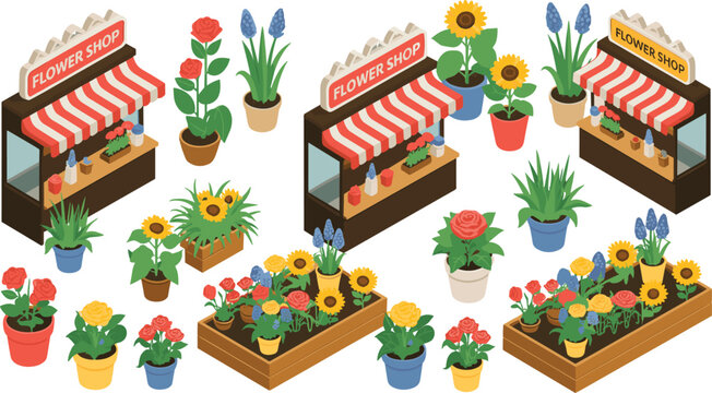 Colorful isometric flower shop with blooming plants, potted flowers and outdoor floral displays, showcasing garden variety arrangements and natural decoration concept