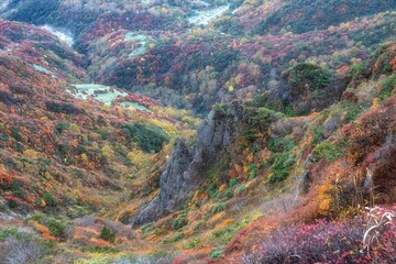 栃木県　紅葉真っ盛りの那須岳
