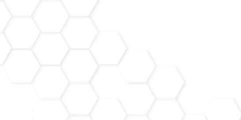 Fototapeta premium Abstract background with hexagon, modern abstract vector polygonal pattern. Abstract white and grey color hexagonal geometric background with copy space, Abstract white hexagon concept background,