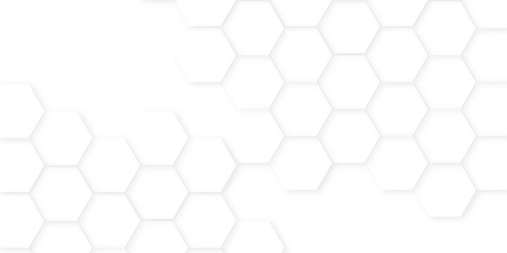 Abstract background with hexagon, modern abstract vector polygonal pattern. Abstract white and grey color hexagonal geometric background with copy space, Abstract white hexagon concept background,