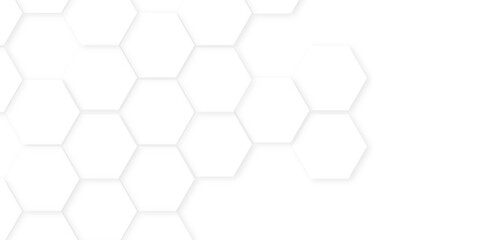 Fototapeta premium Abstract background with hexagon, modern abstract vector polygonal pattern. Futuristic honeycomb mosaic white background,white and gray hexagon honeycomb geometric copy space. 