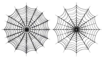 Halloween Spider Web Duo Collection isolated on transparent background