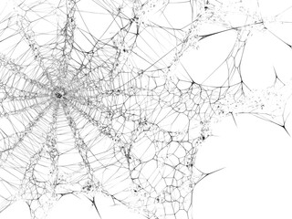 spider net vector illustration, PNG Stock royalty free. transparent background