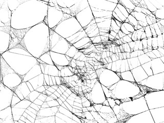 spider net vector illustration, PNG Stock royalty free. transparent background