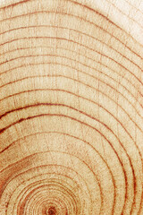 Fototapeta premium Wood pattern, detailed view of wooden texture with natural tree rings of juniper, eco textures earthy tones, dark color, Macro trend patterns, organic beauty of raw material, vertical backdrop