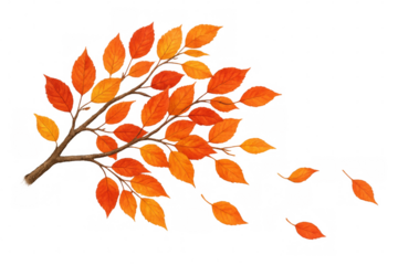 Autumn tree branch with vibrant orange and yellow leaves falling, watercolor illustration on transparent background