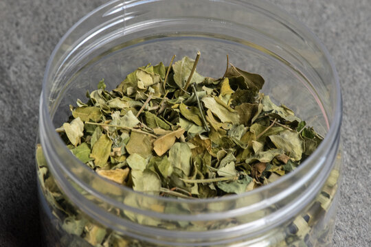 Moringa leaf macro shot. As known as daun kelor or Moringa oleifera. Traditional medicine and health supplements, rich in nutrients, antioxidant. Organic dried leaf for tea. In a jar, grey background