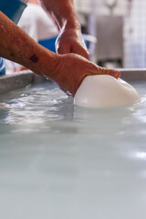 Operaio di un caseificio mentre prepara la mozzarella di bufala campana a mano 