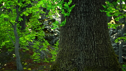 A large tree with a textured bark rises prominently amidst bright green leaves and soft sunlight filtering through the canopy. Surrounding rocks add to the tranquil forest setting.