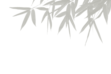 Overlay of Subtle Bamboo Leaves Shadow with Transparent Effect on a Gray Checkered Backdrop Illustration