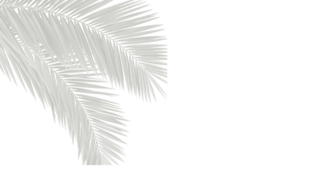 Delicate Light Gray Palm Leaf Silhouette Overlay for Elegant Design Projects and Artistic Creation