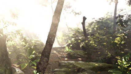 Fototapeta premium Bright rays of sunlight shine through dense trees, illuminating a peaceful forest path. The vibrant greens and earthy browns create a serene atmosphere in nature, inviting exploration.