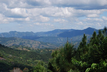 Obraz premium mountain landscape with trees