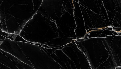 Black marble, veined with white and gold, close up shot