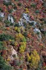 栃木県　紅葉真っ盛りの那須岳
