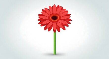 Red Gerbera Daisy Flower on Green Stem Minimalist Design.