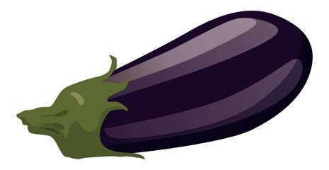 Realistic fresh eggplant isolated on white background - Vector illustration