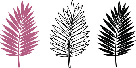 Obraz premium Three illustrated palm leaves in pink outline and solid black colors