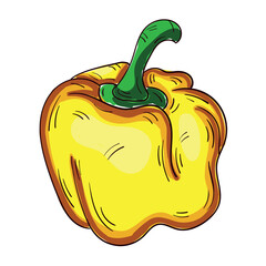 Realistic fresh yellow bell pepper on white background - Vector illustration