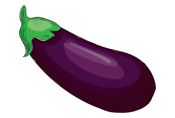 Realistic fresh eggplant isolated on white background - Vector illustration
