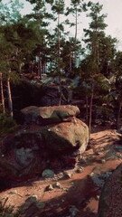 Obraz premium Large moss covered rocks emerge from the forest floor under a canopy of green trees. Sunlight filters through, casting gentle light on this peaceful, natural scene.