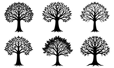 Obraz premium Variety of stylized black tree silhouettes perfect for nature-inspired designs, logos, and graphics. Vector source provides scalability and clean lines