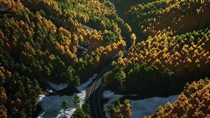 Golden and green trees create a stunning scene as a road winds through the peaceful forest. Natures beauty shines bright during a calm autumn day, inviting exploration and serenity.