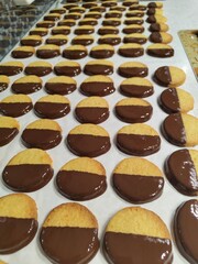 Rows of Chocolate-Dipped Orange Almond Cookies (Shortbread)